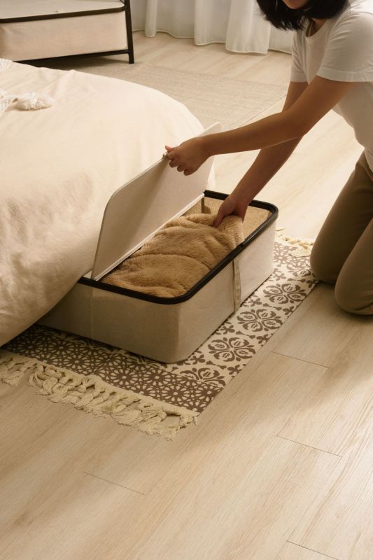 AKORE Under the bed storage box_2024pm_B11